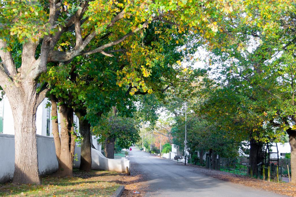 Babette Bed And Breakfast Swellendam Bagian luar foto