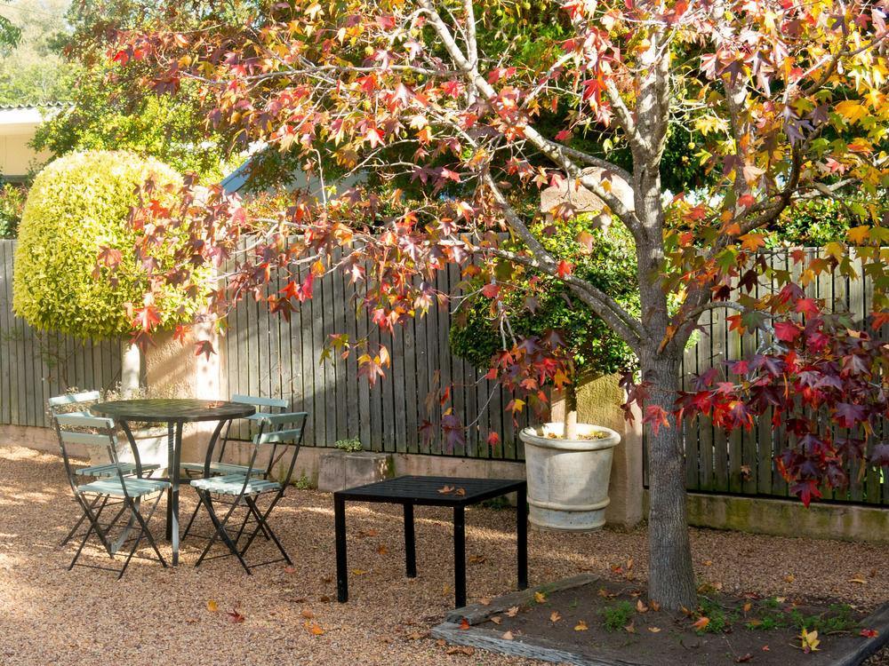 Babette Bed And Breakfast Swellendam Bagian luar foto