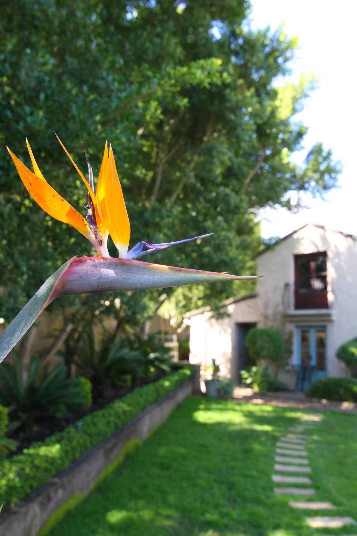 Babette Bed And Breakfast Swellendam Bagian luar foto