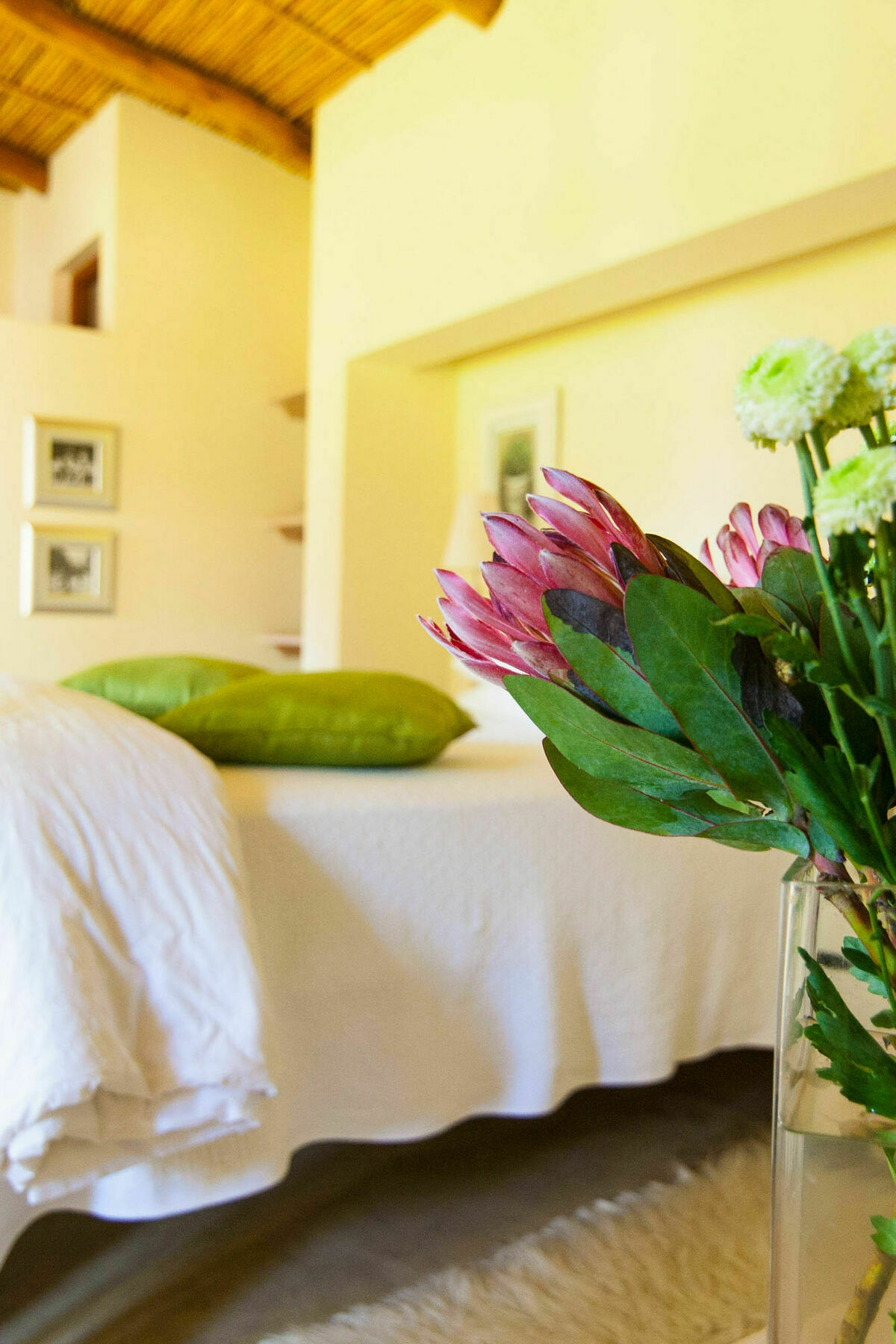 Babette Bed And Breakfast Swellendam Bagian luar foto